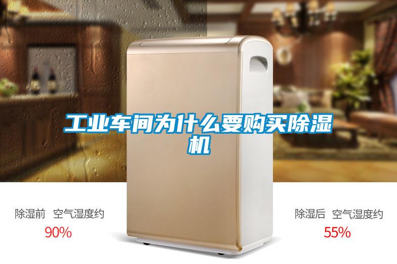 工業(yè)車間為什么要購買除濕機(jī)