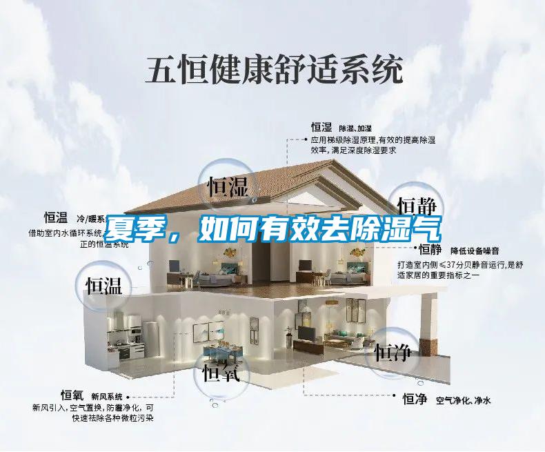 夏季，如何有效去除濕氣