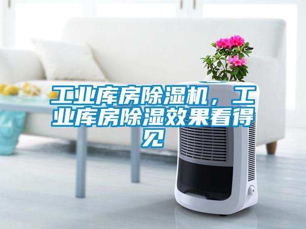 工業(yè)庫(kù)房除濕機(jī)，工業(yè)庫(kù)房除濕效果看得見(jiàn)