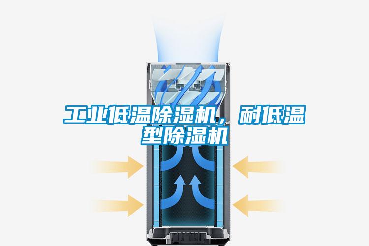 工業(yè)低溫除濕機(jī)，耐低溫型除濕機(jī)