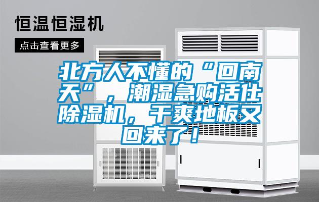 北方人不懂的“回南天”，潮濕急購活仕除濕機(jī)，干爽地板又回來了！