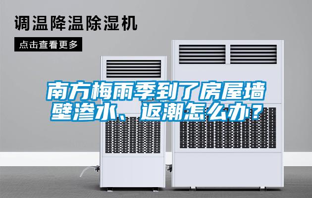 南方梅雨季到了房屋墻壁滲水、返潮怎么辦？