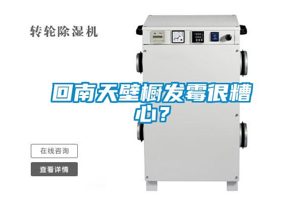 回南天壁櫥發(fā)霉很糟心？