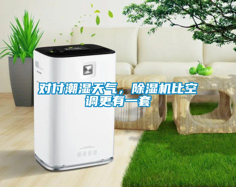 對付潮濕天氣，除濕機(jī)比空調(diào)更有一套