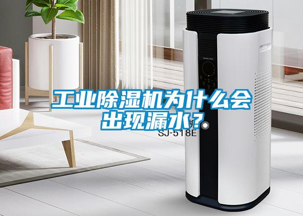 工業(yè)除濕機(jī)為什么會出現(xiàn)漏水？