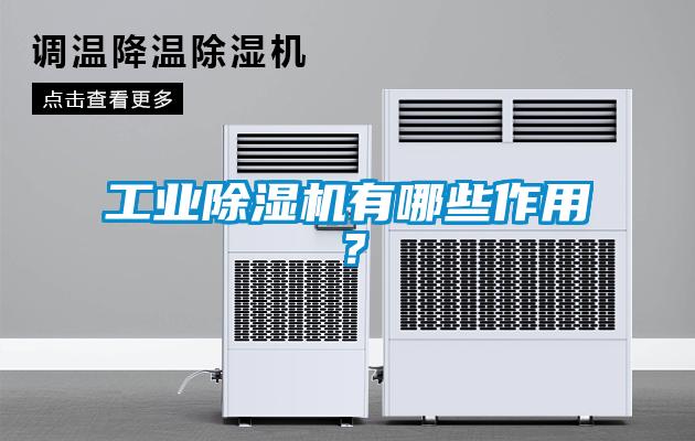 工業(yè)除濕機(jī)有哪些作用？