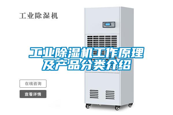 工業(yè)除濕機(jī)工作原理及產(chǎn)品分類介紹
