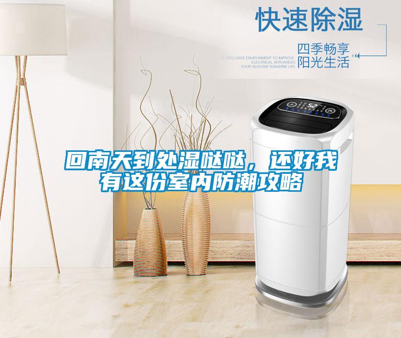 回南天到處濕噠噠，還好我有這份室內(nèi)防潮攻略