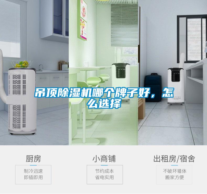 吊頂除濕機(jī)哪個(gè)牌子好，怎么選擇