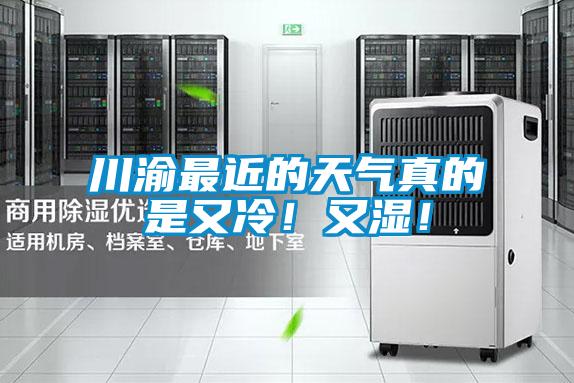 川渝最近的天氣真的是又冷！又濕！