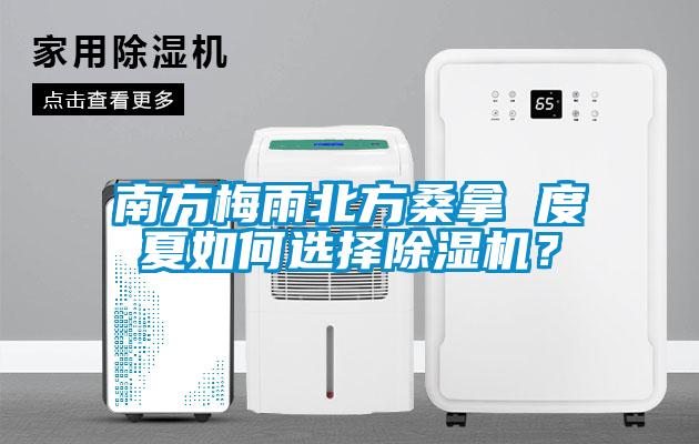 南方梅雨北方桑拿 度夏如何選擇除濕機？