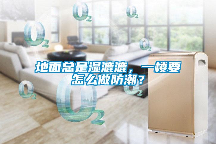 地面總是濕漉漉，一樓要怎么做防潮？