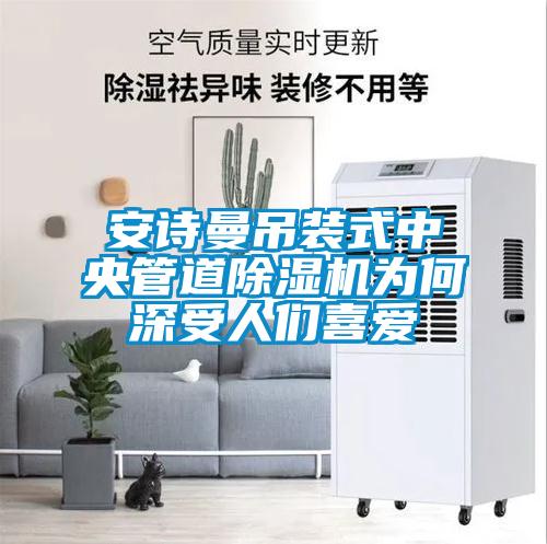 安詩(shī)曼吊裝式中央管道除濕機(jī)為何深受人們喜愛(ài)