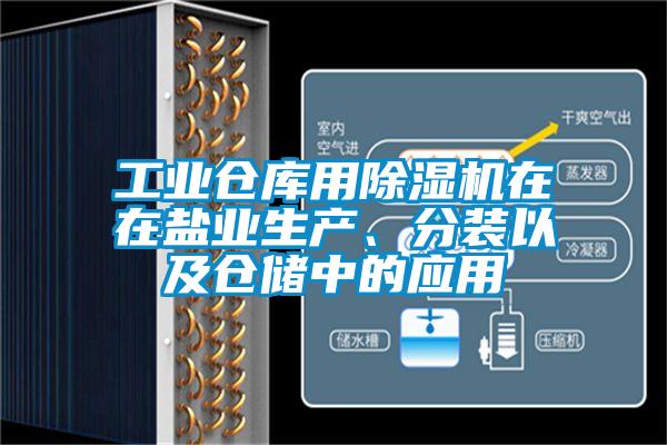 工業(yè)倉庫用除濕機(jī)在在鹽業(yè)生產(chǎn)、分裝以及倉儲(chǔ)中的應(yīng)用