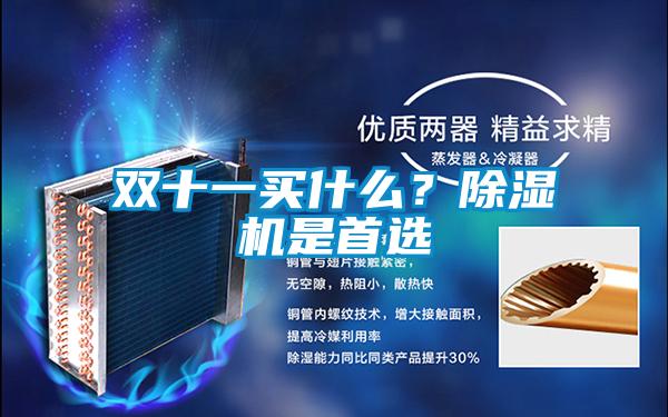 雙十一買(mǎi)什么？除濕機(jī)是首選