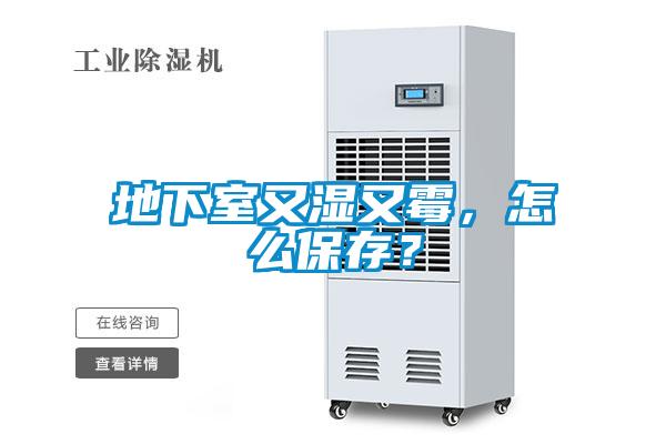 地下室又濕又霉，怎么保存？