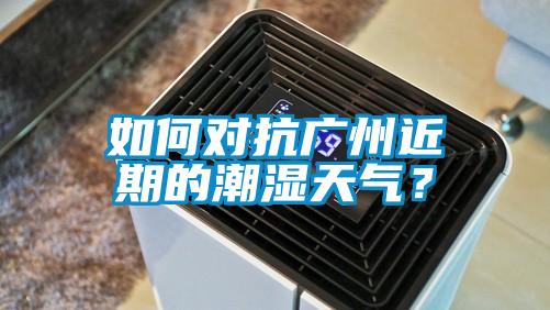 如何對抗廣州近期的潮濕天氣？