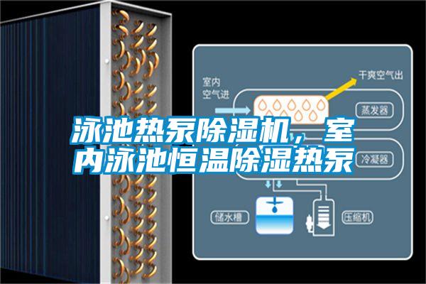 泳池?zé)岜贸凉駲C，室內(nèi)泳池恒溫除濕熱泵