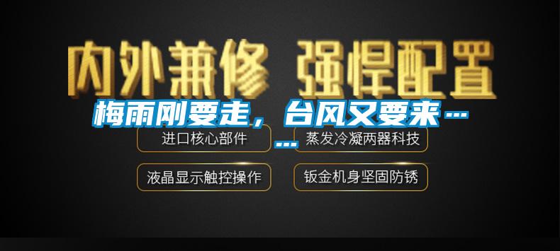 梅雨剛要走，臺風又要來……