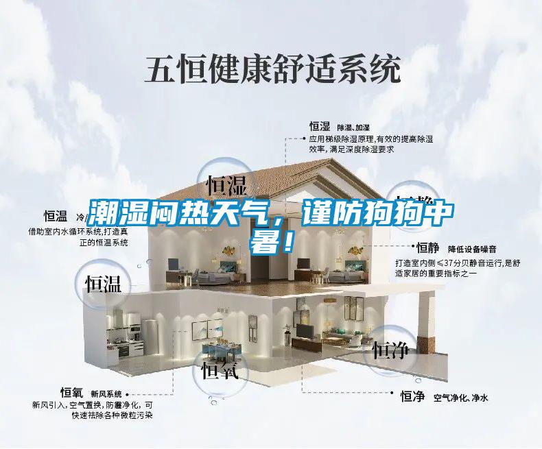 潮濕悶熱天氣，謹(jǐn)防狗狗中暑！