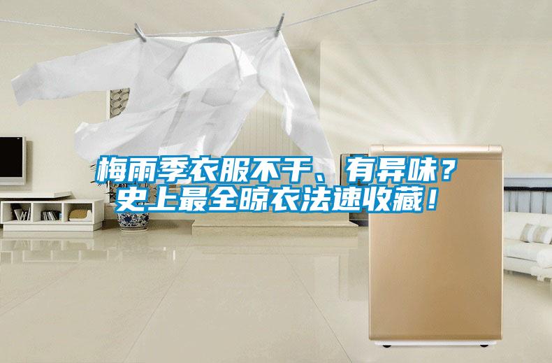 梅雨季衣服不干、有異味?史上最全晾衣法速收藏!