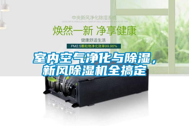 室內(nèi)空氣凈化與除濕，新風(fēng)除濕機全搞定