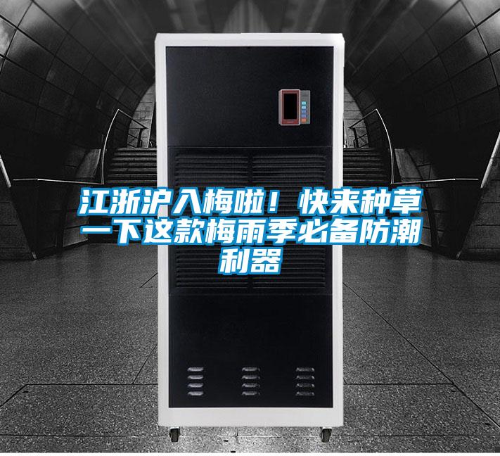 江浙滬入梅啦！快來種草一下這款梅雨季必備防潮利器