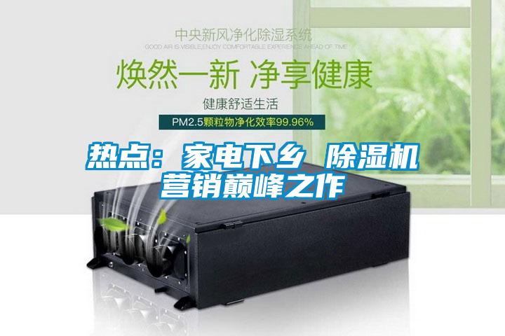 熱點：家電下鄉(xiāng) 除濕機營銷巔峰之作