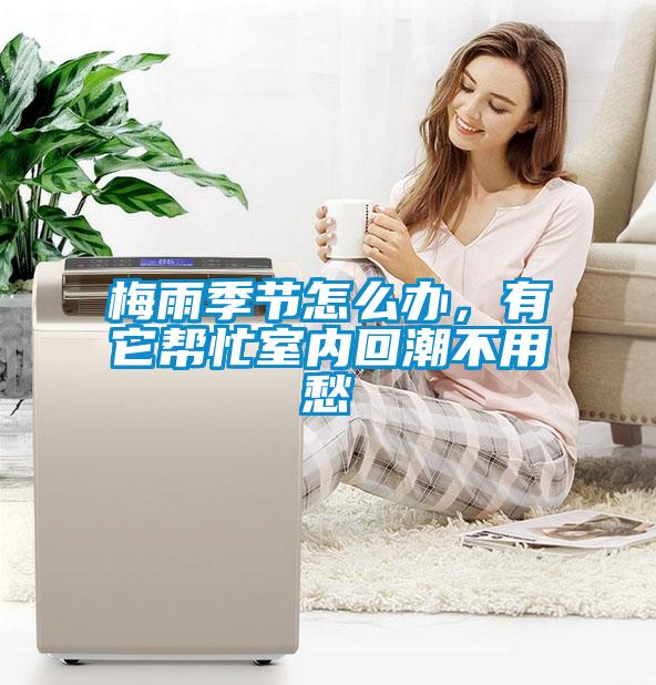 梅雨季節(jié)怎么辦，有它幫忙室內(nèi)回潮不用愁