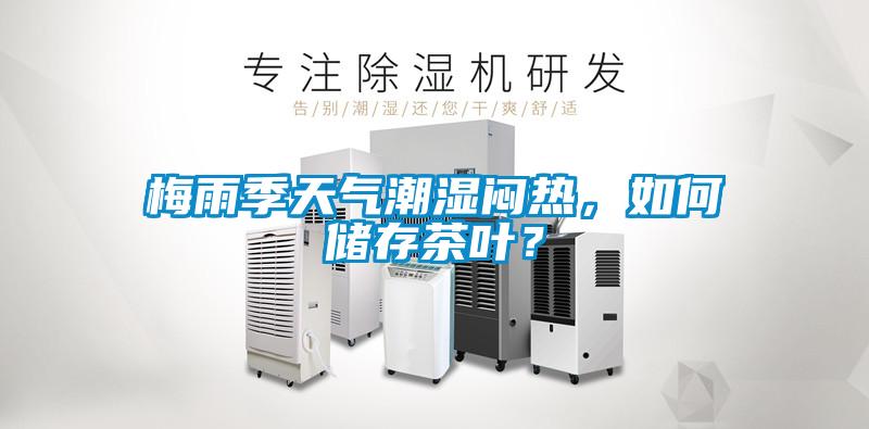 梅雨季天氣潮濕悶熱，如何儲存茶葉？