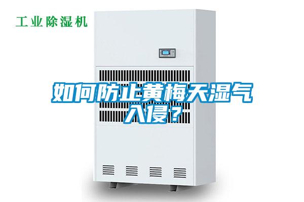 如何防止黃梅天濕氣入侵？