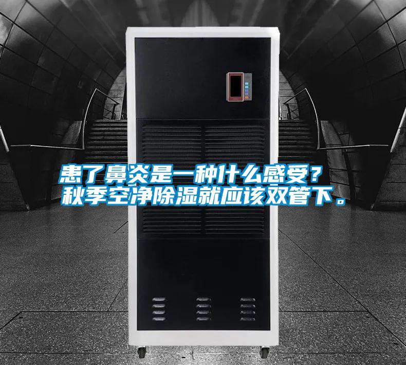 患了鼻炎是一種什么感受？ 秋季空凈除濕就應(yīng)該雙管下。