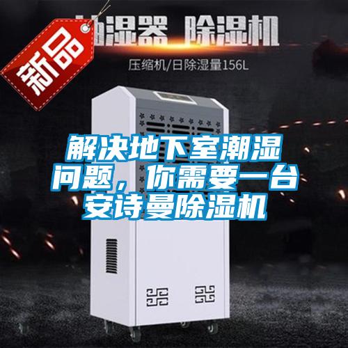 解決地下室潮濕問題，你需要一臺安詩曼除濕機