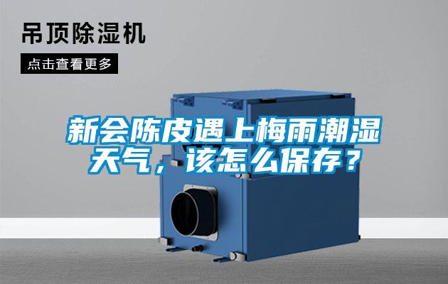 新會(huì)陳皮遇上梅雨潮濕天氣，該怎么保存？