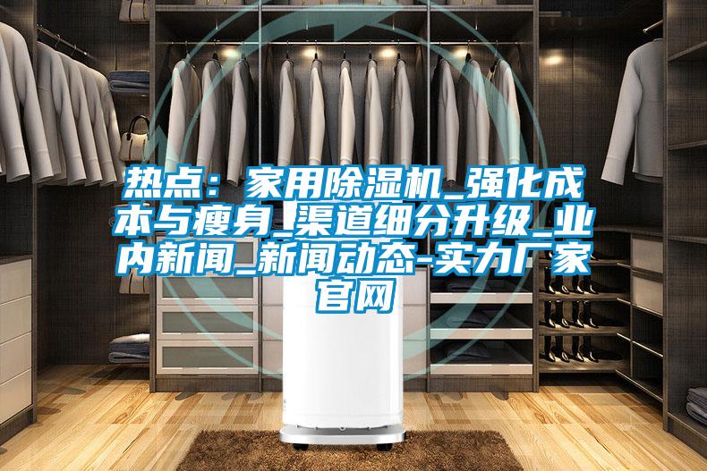 熱點：家用除濕機_強化成本與瘦身_渠道細分升級_業(yè)內新聞_新聞動態(tài)-實力廠家官網