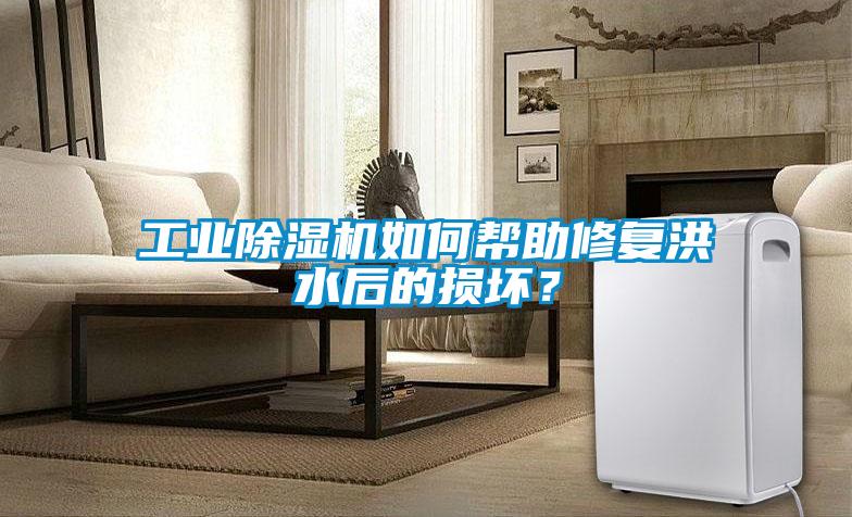 工業(yè)除濕機(jī)如何幫助修復(fù)洪水后的損壞？