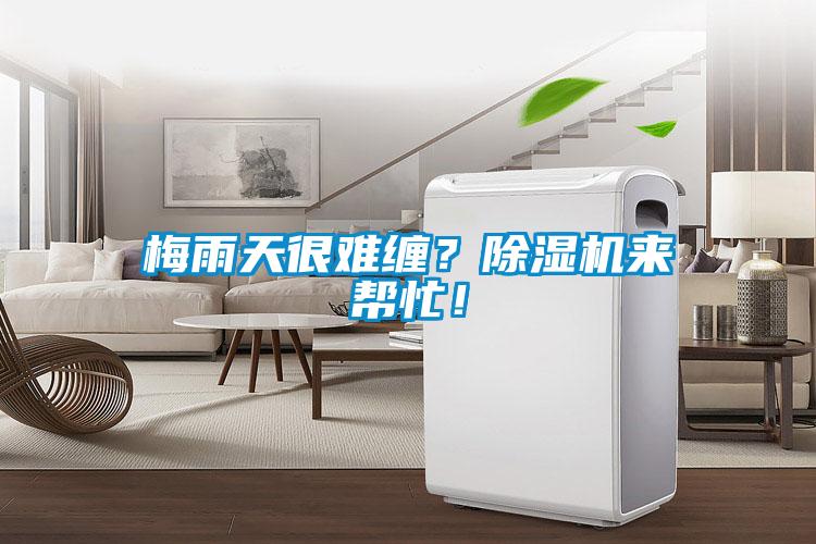 梅雨天很難纏？除濕機來幫忙！