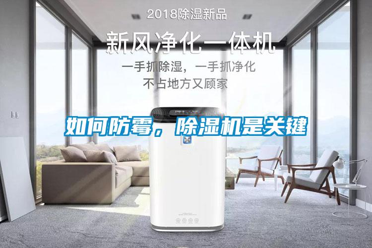 如何防霉，除濕機是關鍵