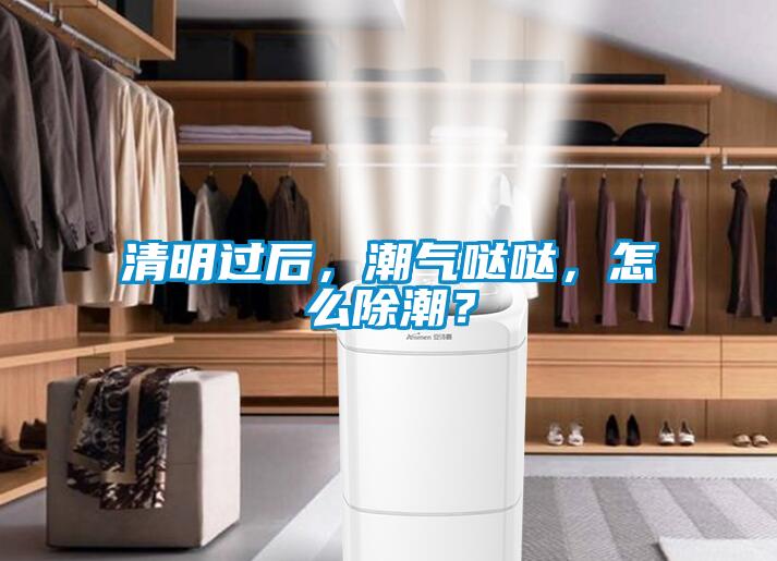 清明過后，潮氣噠噠，怎么除潮？