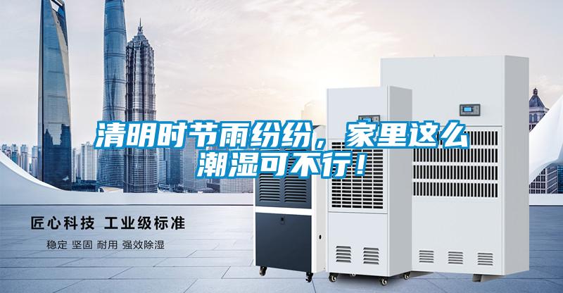 清明時節(jié)雨紛紛，家里這么潮濕可不行！