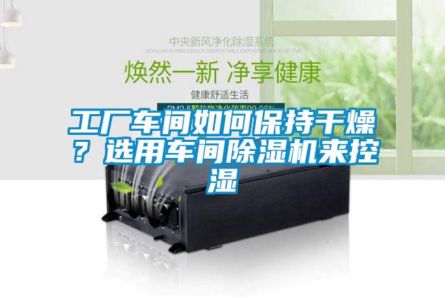 工廠車間如何保持干燥？選用車間除濕機來控濕