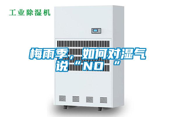 梅雨季，如何對濕氣說“NO ”