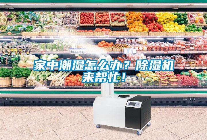 家中潮濕怎么辦？除濕機(jī)來(lái)幫忙！