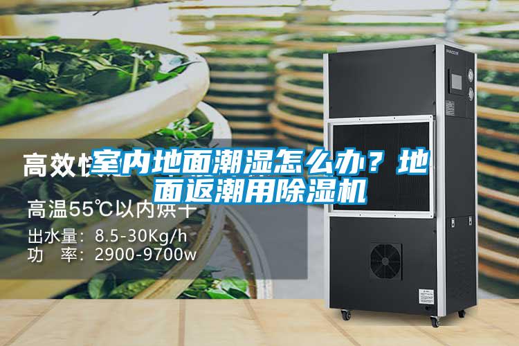 室內(nèi)地面潮濕怎么辦？地面返潮用除濕機(jī)