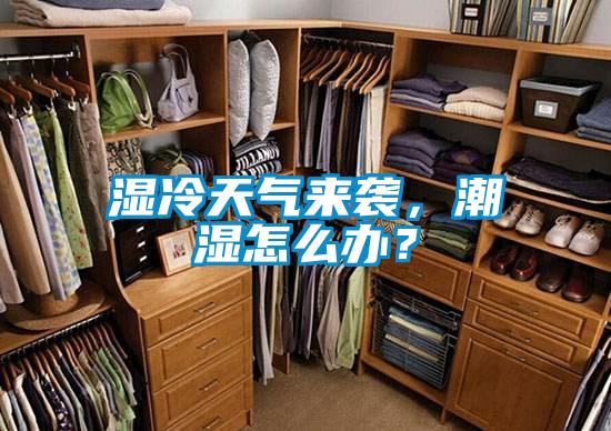濕冷天氣來襲，潮濕怎么辦？