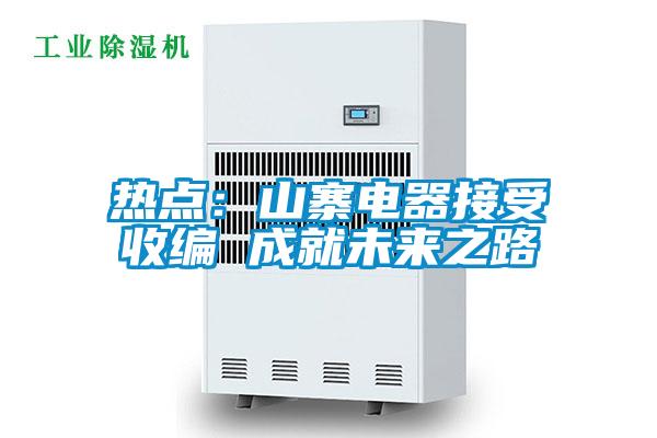 熱點(diǎn)：山寨電器接受收編 成就未來之路
