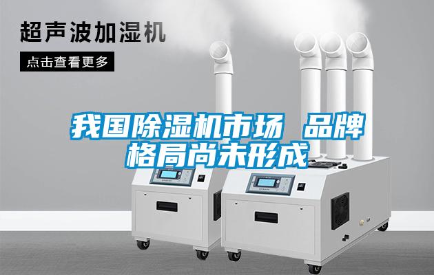 我國除濕機(jī)市場 品牌格局尚未形成