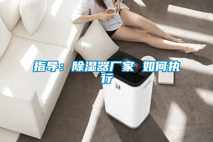指導：除濕器廠家 如何執(zhí)行