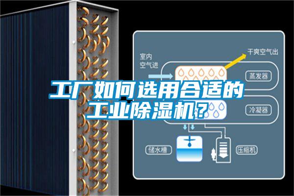 工廠如何選用合適的工業(yè)除濕機？