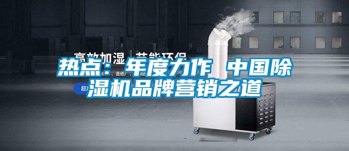 熱點(diǎn)：年度力作 中國除濕機(jī)品牌營銷之道